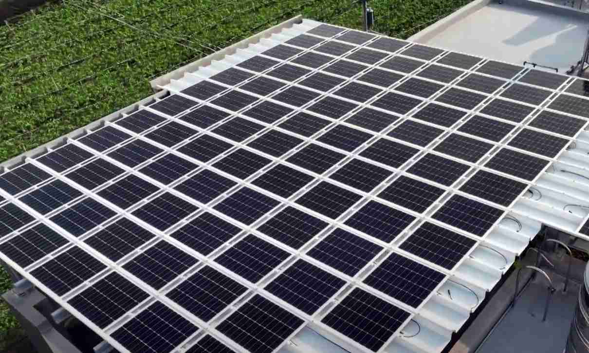 红龙扑克SunSteel光电浪板升级双玻结构，，以提升机械负载强度及气候耐候度，，，可广泛运用于多元场域