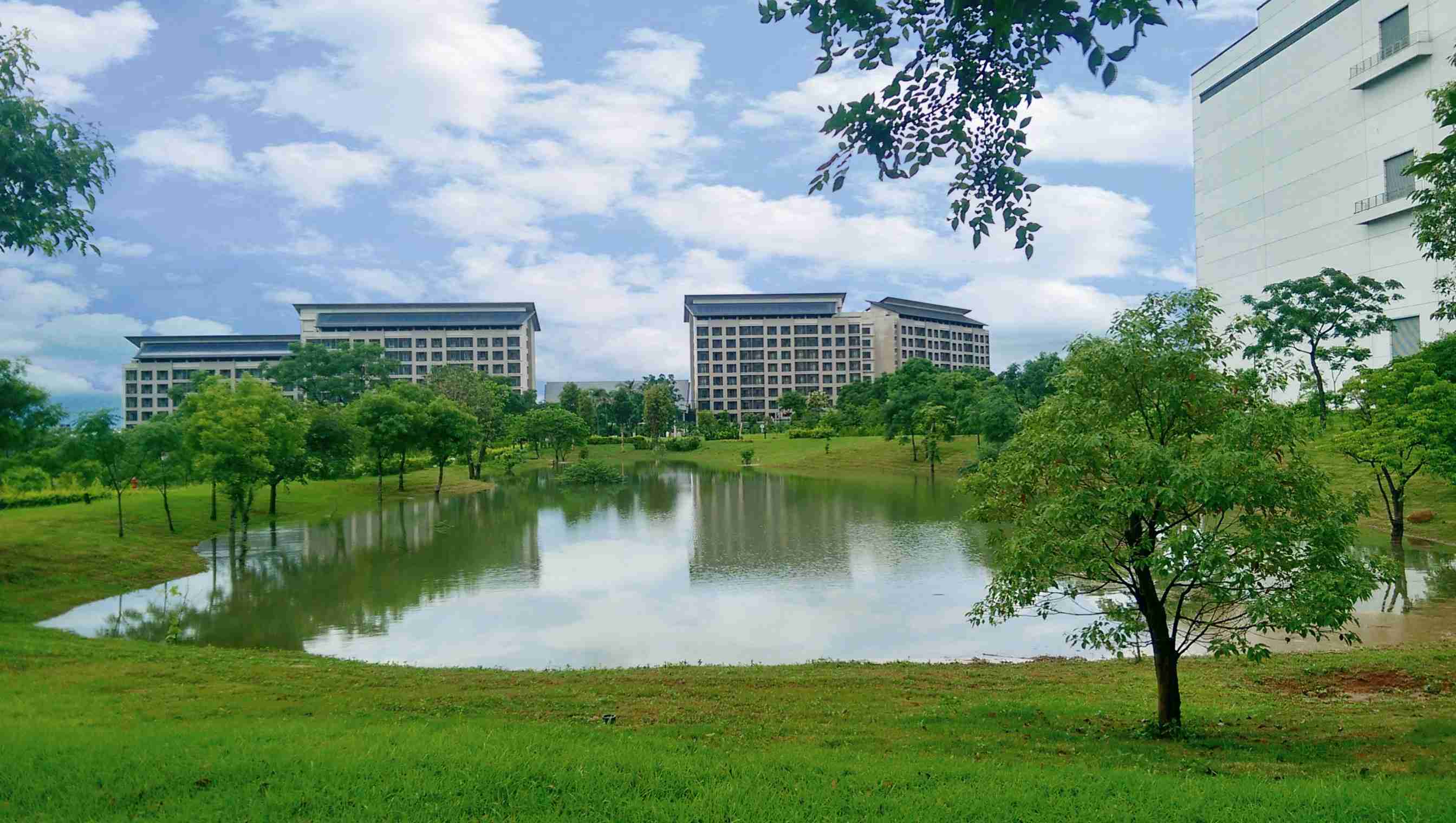 红龙扑克响应国际倡议生物多样性趋势，，，首次发布TNFD自然相关财务揭露报告书，，，擘划及开展红龙扑克生物多样性政策之承诺，，，，逐步迈向与自然和谐共生